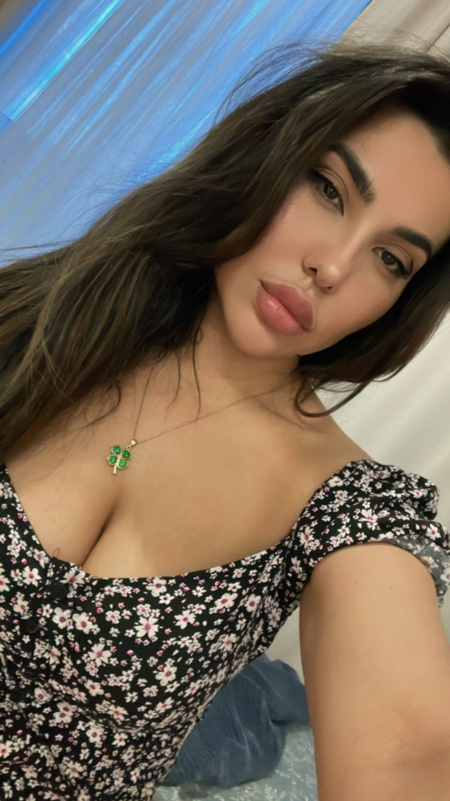 Модель Alya